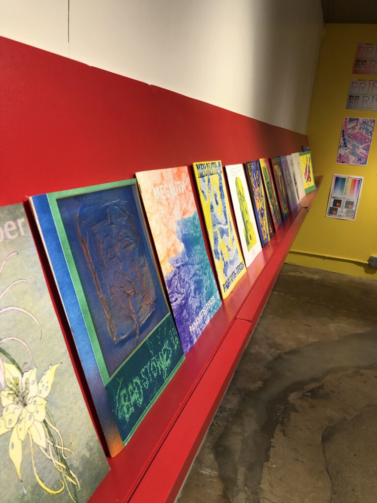 Photograph of Printing the Future exhibition, zines and books on a shelf against the wall.